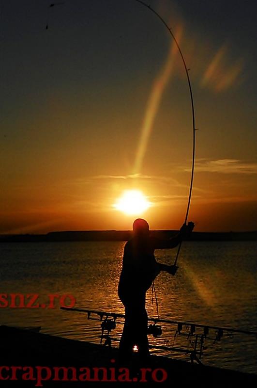 Sunset - 1014342.jpg